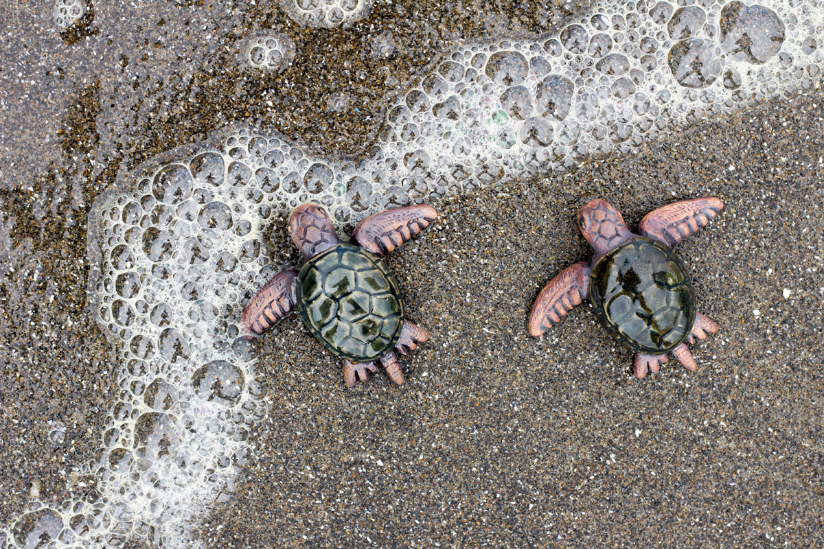 Emily Miller sea turtle ceramic sculpture