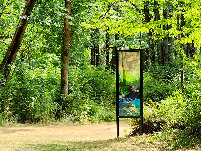 Wonder Windows - installations by Emily Jung Miller
