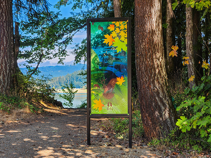 Wonder Windows - installations by Emily Jung Miller