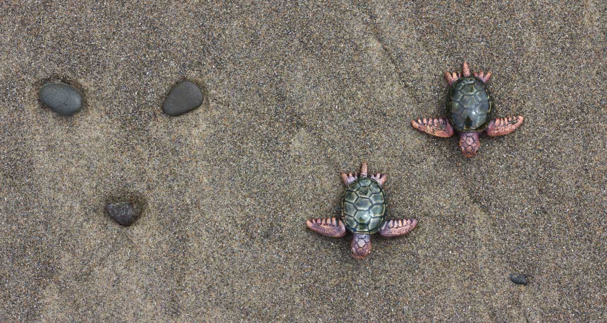 Sea turtle conservation ceramic sculpture by artist Emily Miller