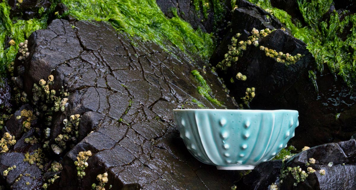 Porcelain urchin bowl ceramics by artist Emily Miller
