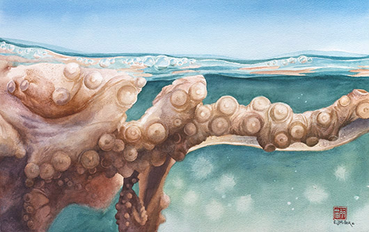 Surfacing - octopus watercolor painting by Emily Miller