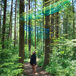 Beams - forest string art installation by Emily Miller