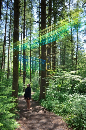 Beams - forest string art installation by Emily Miller