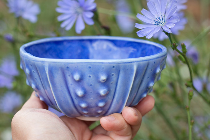 Urchin Rice Bowl in Cornflower Blue by artist Emily Miller