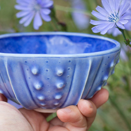 Urchin Rice Bowl in Cornflower Blue by artist Emily Miller