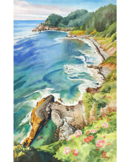 Seal Lagoon at Heceta Head
30" x 20" watercolor, 2024

On display in PASSAGE, solo exhibit up thru July 25, 2025 in the Gladys Valley Marine Studies building at Hatfield Marine Science Center, Newport, Oregon. Show catalog link in my bio or visit emilyjungmiller.com/exhibits/passage

Just south of Heceta Head on the central coast of Oregon, there's a pullout on the highway with a great view of Heceta Head lighthouse. At the right-hand corner of the pullout, you can look straight down the cliff to see a hidden, sheltered lagoon full of seals and sea lions. They're graceful acrobats in the water, and it was beautiful to watch them playing in this clear, calm lagoon from above. Sea Lion Caves is just south of here, so there are always plenty of them around.

Heceta Head is the place I chose for an informal memorial in 2022 with just my dad and stepmom, one year after my grandparents' deaths, when it became clear there wouldn't be a larger formal gathering of family and friends. Traveling and gathering safely was still very disrupted due to Covid. We have so many more tools now to keep each other safe than we did three or four years ago. Making use of our affordable access to rapid tests, quality masks, and boosters can still make a huge difference to those most vulnerable in our communities.

In this painting, I added Nootka Rose to the cliffside scrub. It wasn't there, but it's a coastal native that is appropriate to the site. Both my grandmothers loved roses and grew them in their gardens.

I didn't actually discover the seal lagoon until a year after our memorial, when I happened to stand in just the right spot, and looked down. One of the many reasons I love the ocean and the coast - even when you think you know a place, there's always more to discover and delight. 🦭
.
.
.
#oregoncoast #watercolour #watercolorart #watercolorpainting #watercolor #aquarelle #beachday #oregonartist #portlandartist #pdxartist #hecetahead #hecetaheadlighthouse #seals