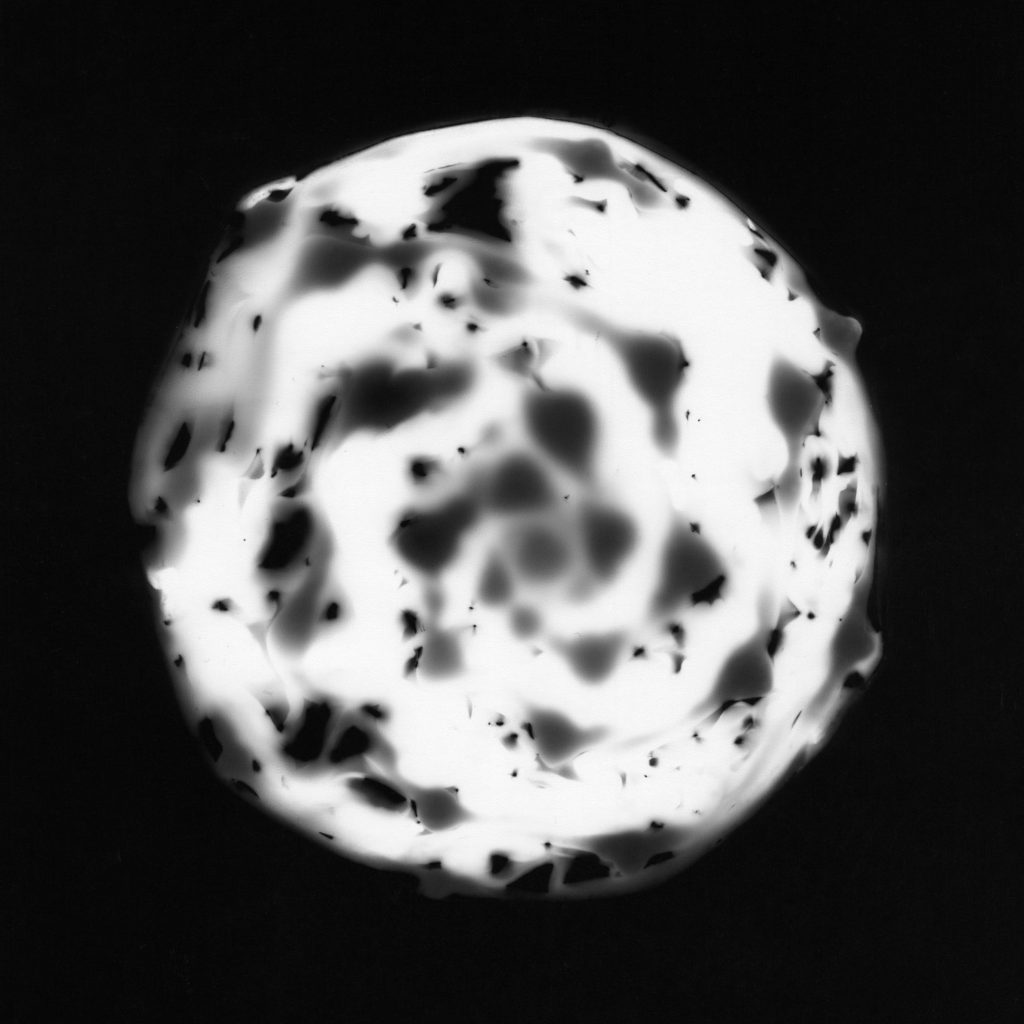 Whirl - photogram by Emily Miller