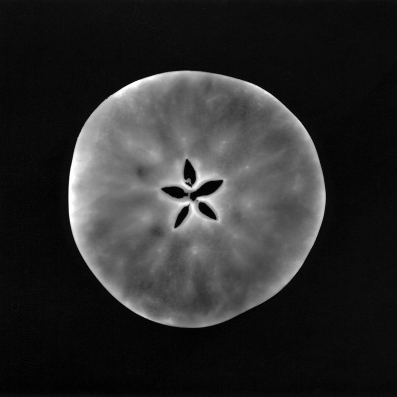 Pentamer 2 - photogram by Emily Miller