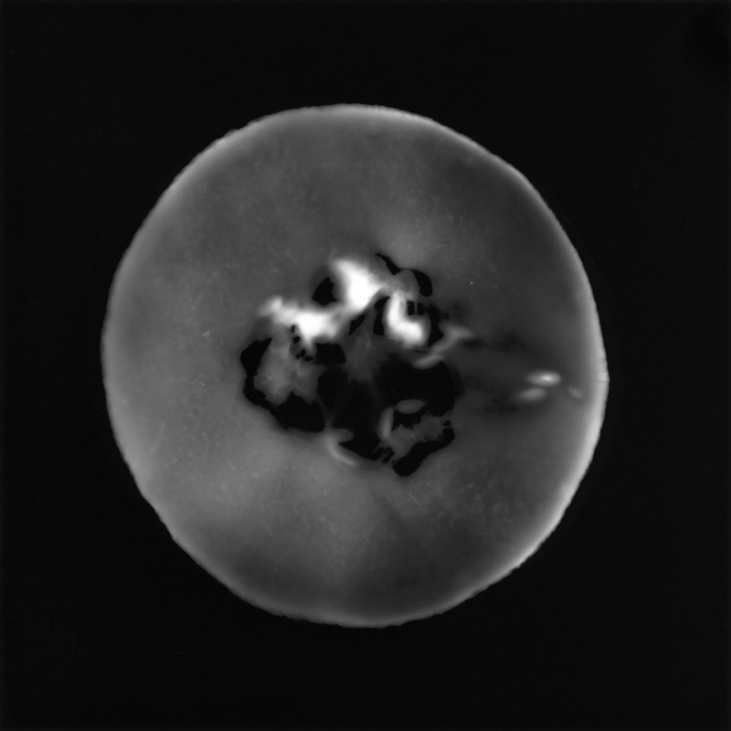 Trefoil 2 - photogram by Emily Miller