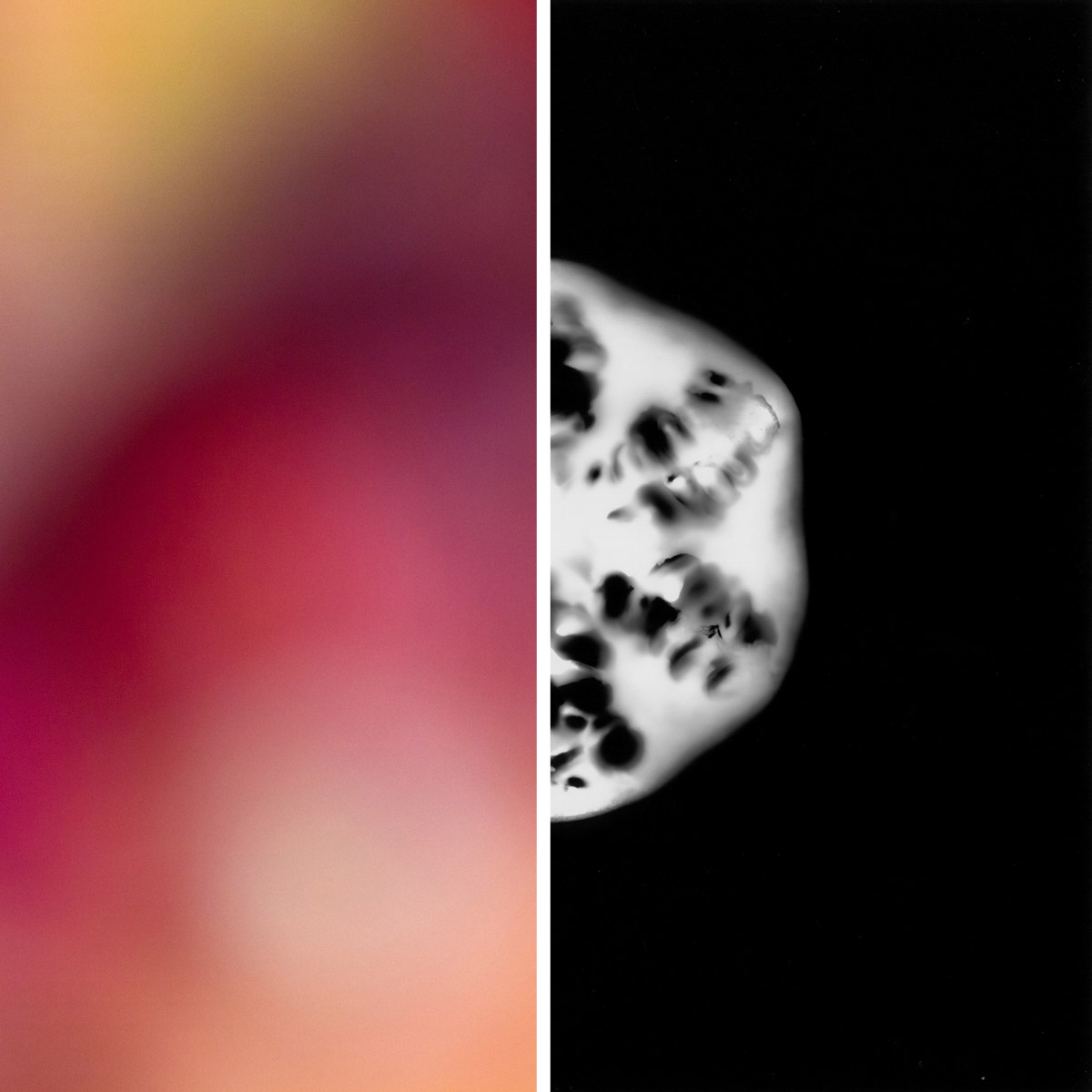 Photograms and abstract color photography