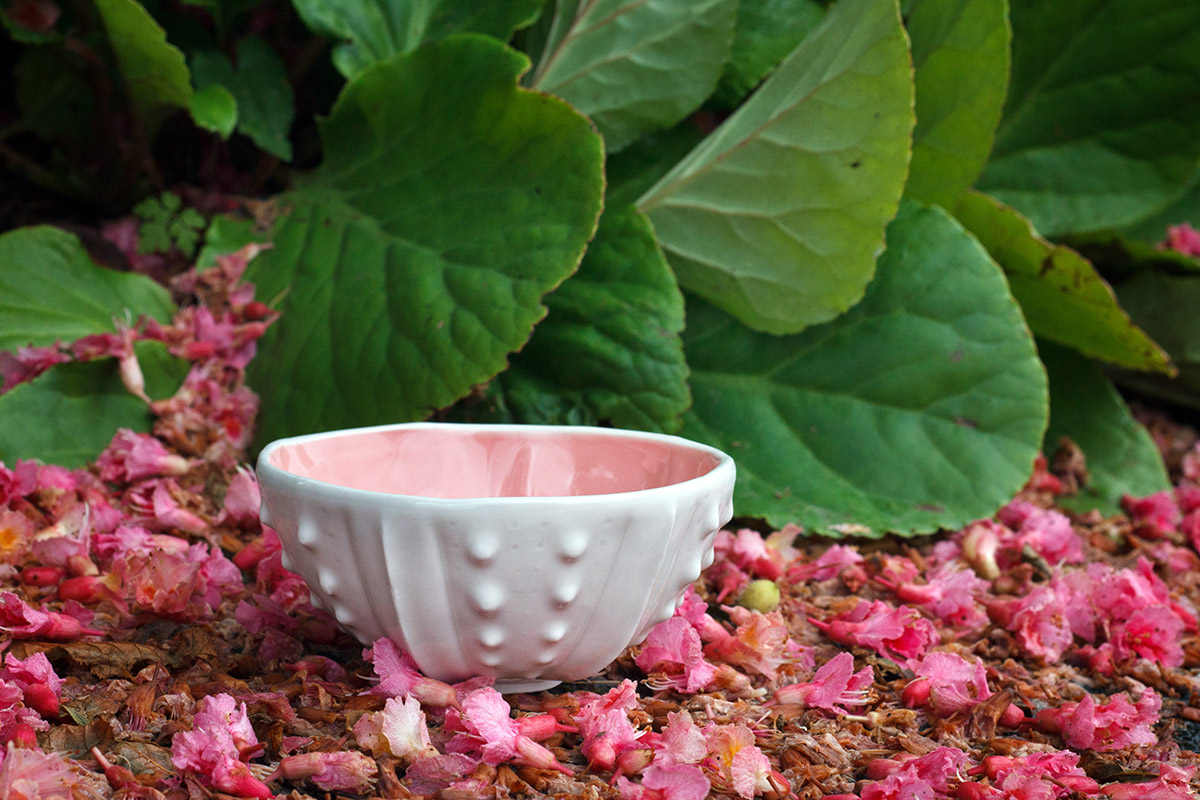 Urchin Rice Bowl in Shell Pink - porcelain bowl by Emily Miller