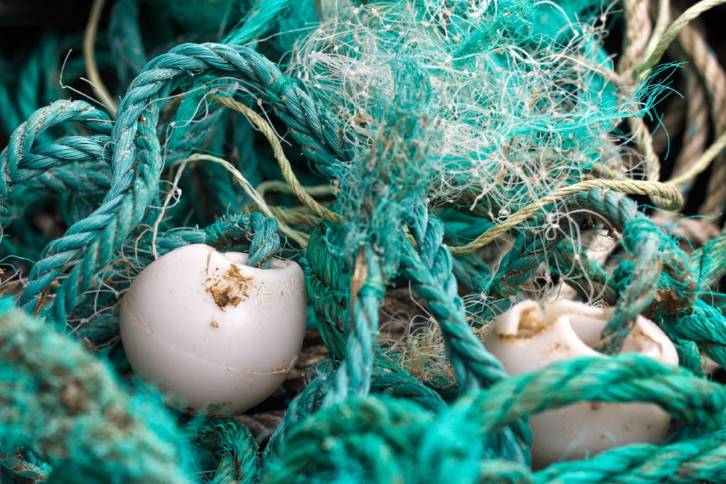 Japanese fishing rope, Oregon