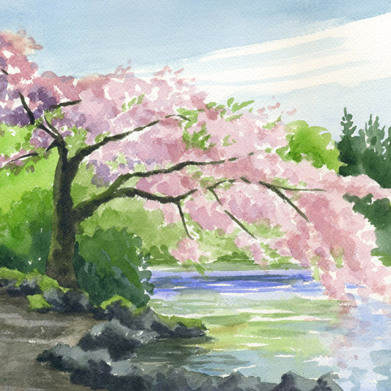 Cherry Blossoms painting, Oregon watercolor art by Emily Miller