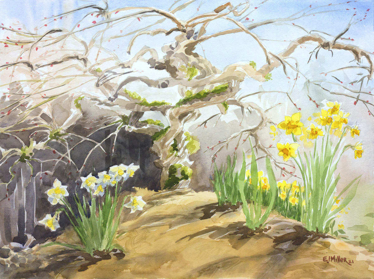 I have a collection of 8 botanical watercolors in an upcoming group show "April Showers Bring May Flowers" at Walters Cultural Arts Center in Hillsboro, OR. Thanks to the curators at the Walters for bringing us some color and light. 🌧🌸🌧

On view April 1 - May 16, 2025
First Tuesday Art Walks April 1 and May 6 from 5-8pm

See my full collection from the show at emilyjungmiller.com/exhibits

Image:
"Long Time Coming"
18x24" plein air watercolor, 2021
.
.
.
#pleinairwatercolor #pleinairpainting #pleinair #allaprima #pleinairpainter #watercolor #aquarelle #oregonartist #portlandartist #pdxartist #daffodils #botanicalart #botanicalartist #springtime #springflowers #watercolour #watercolorart #watercolorpainting