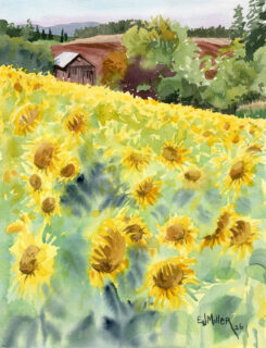 More August yellows 🟡

Sunflowers at West Union Gardens
11x14" plein air watercolor
2026
Prints + original on my website www.EmilyJungMiller.com/latest
.
.
.
#westuniongardens #hillsboro #hillsborooregon #sunflowers #sunflowerfield #sunflowerbloom #yellow #pleinair #allaprima #oregonartist #portlandartist #pdxartist #northwestisbest #pnwonderland #august