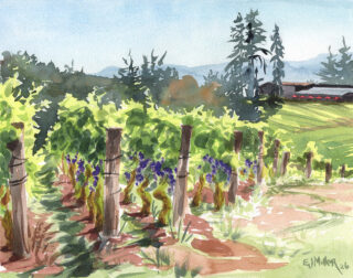 Plein air at Elk Cove Vineyard @elkcove in Gaston - a hot afternoon, mid-September, just before the harvest. I loved this beautiful spot - hoping to paint more views in different seasons!

Before the Harvest
11x14" watercolor, 2026
Prints + original on my website www.EmilyJungMiller.com/latest
.
.
.
#gastonoregon #gaston #tualatinvalley #oregonwinery #oregonvineyard #elkcovevineyard #vineyardart #allaprima #pleinair #pleinairwatercolor #watercolor #watercolour #watercolorart #oregonartist #portlandartist #pdxartist #vineyard