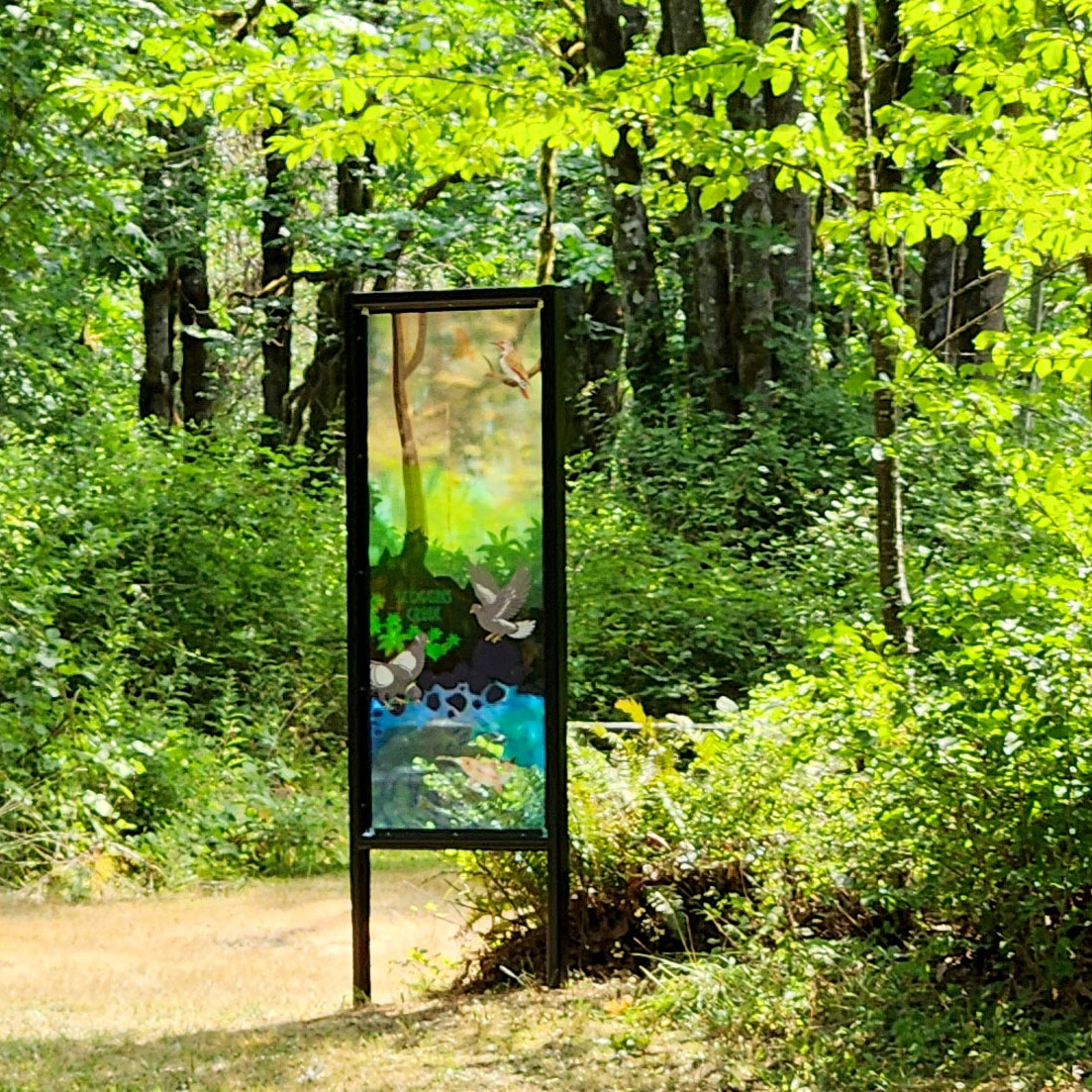 Wonder Windows at Hagg Lake