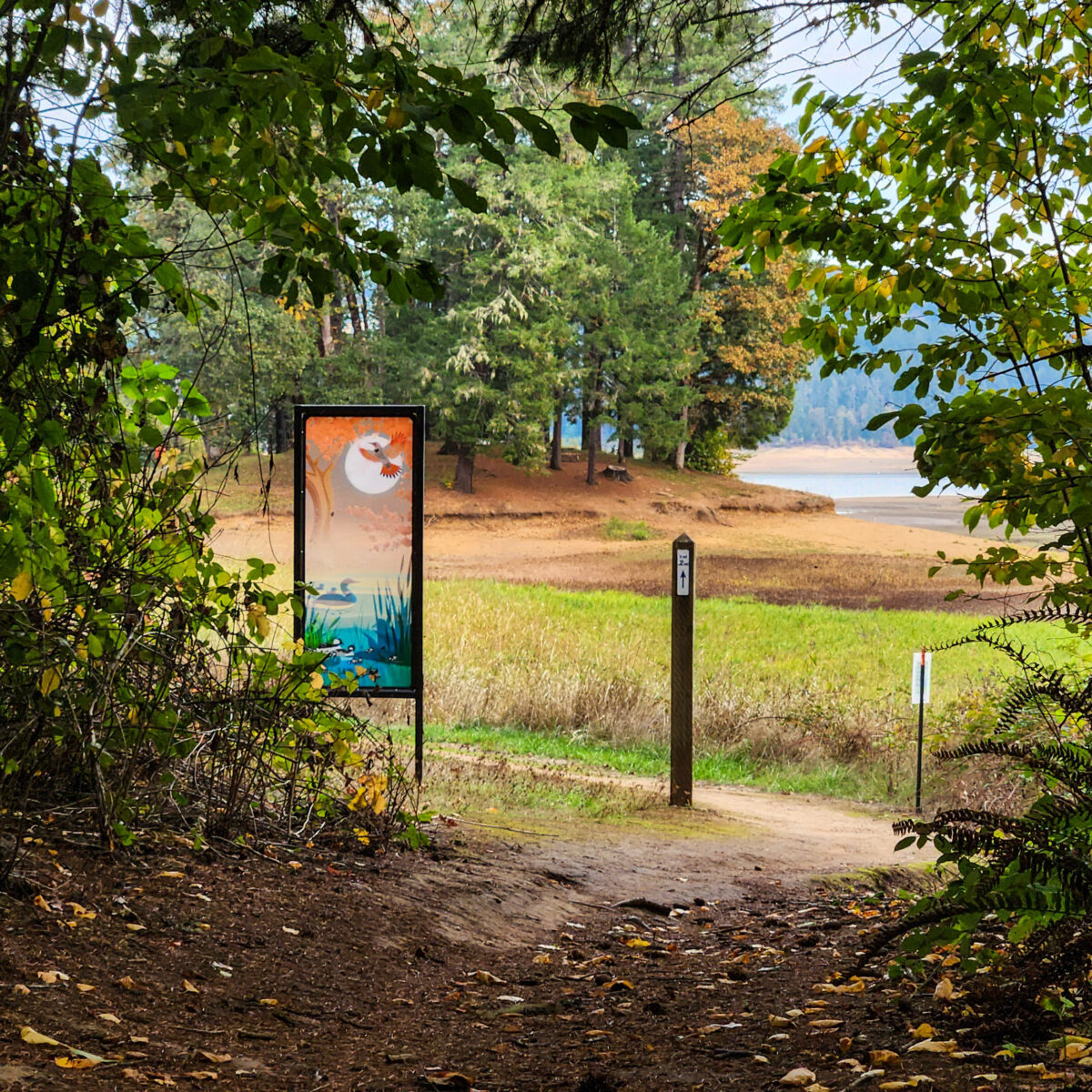 Wonder Windows Artist Walk, Spring 2026