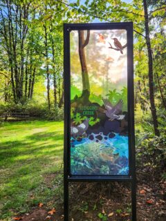 I'm excited for our upcoming Artist Walk at Hagg Lake, and I want to complement that offering with a guide to the ten most accessible Wonder Windows, fully visible from a parked car, including info on ADA parking and paths.

Links in my bio for both the Artist Walk registration and the Accessible Windows Guide, or visit www.emilyjungmiller.com/wonder-windows for all that and more.

Pictured: both sides of the Scoggins Creek Wonder Window, one of the top ten most accessible Windows.
.
.
.
#publicart #installationart #wonderwindows #nativespecies #oregonartist #portlandartist #hagglake #scogginscreek #pdxartist